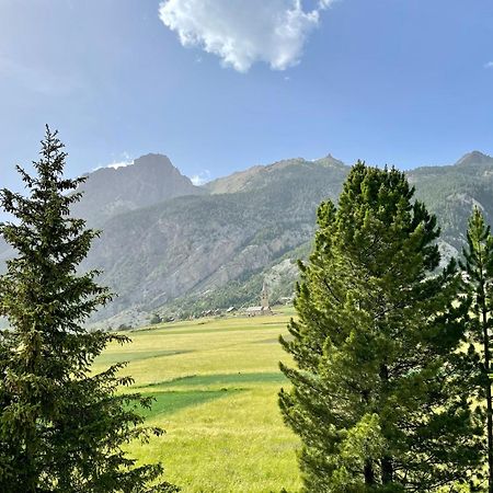 Gite Montagne 1 A 25 Places "Chalet Coste Belle" Ceillac Exterior photo